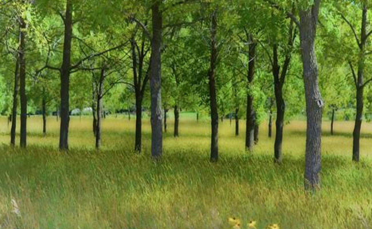 Terörün Sıcak Yüzü